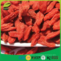 Bayas de goji secas